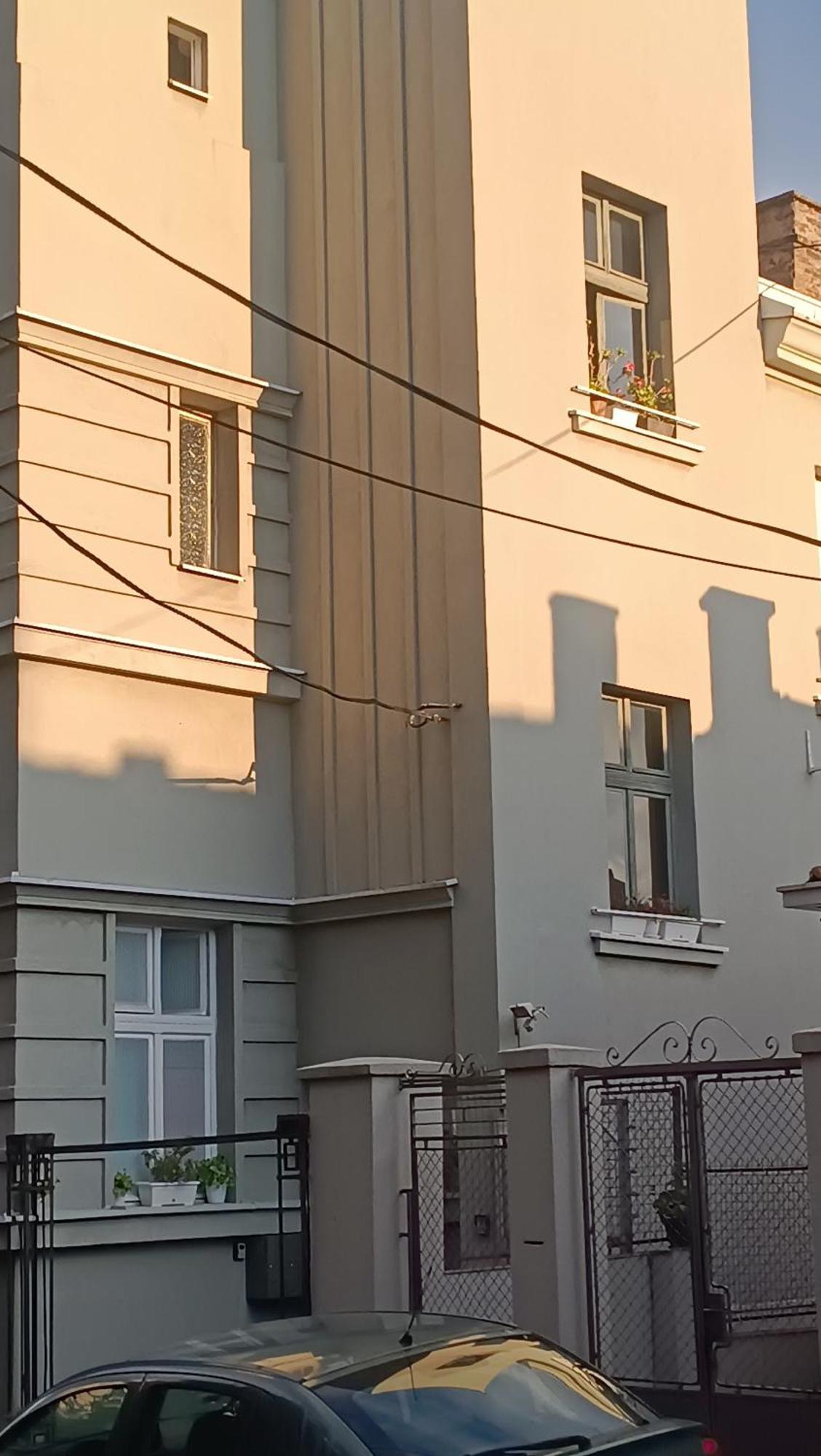 Jelena Apartment ベオグラード エクステリア 写真