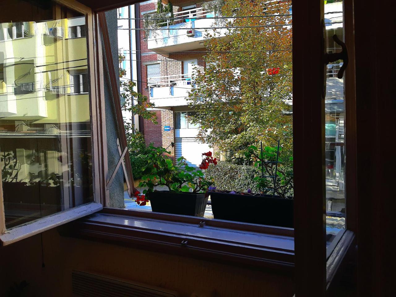 Jelena Apartment ベオグラード エクステリア 写真