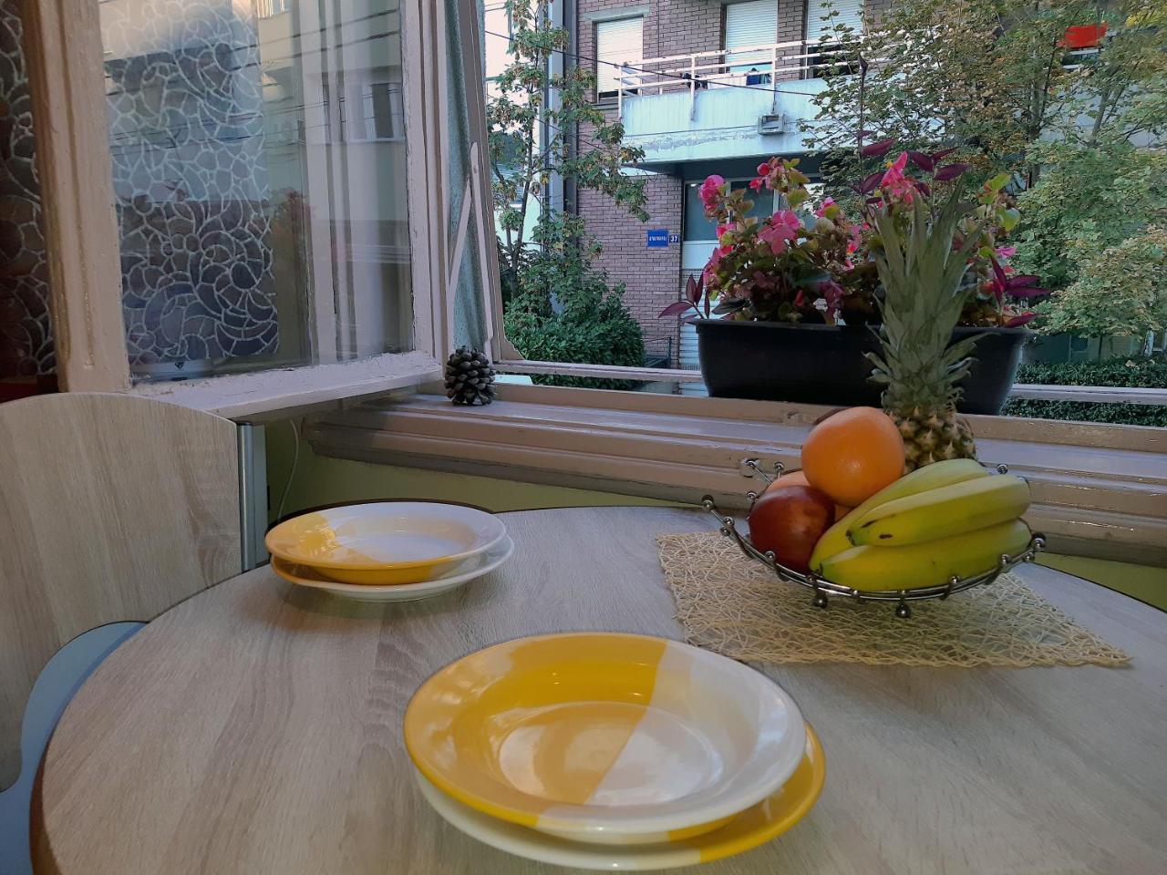 Jelena Apartment ベオグラード エクステリア 写真